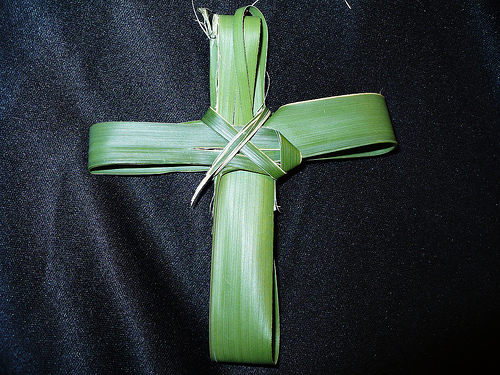palm-cross